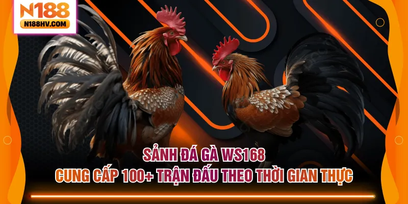 Sảnh đá gà WS168 cung cấp 100+ trận đấu theo thời gian thực
